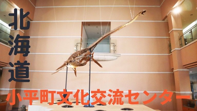 北海道小平　4.5kg アンモナイト3体の群生　化石　/恐竜　クワガタ　カブト