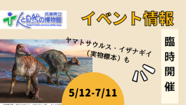 【5/12-7/11】新種ヤマトサウルスの臨時展示！【人と自然の博物館】