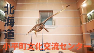 北海道初の恐竜発掘の町に行ってきた！【小平町文化交流センター】