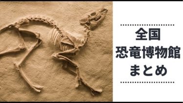 【2021年】日本全国の恐竜博物館・科学館まとめ！【随時更新】